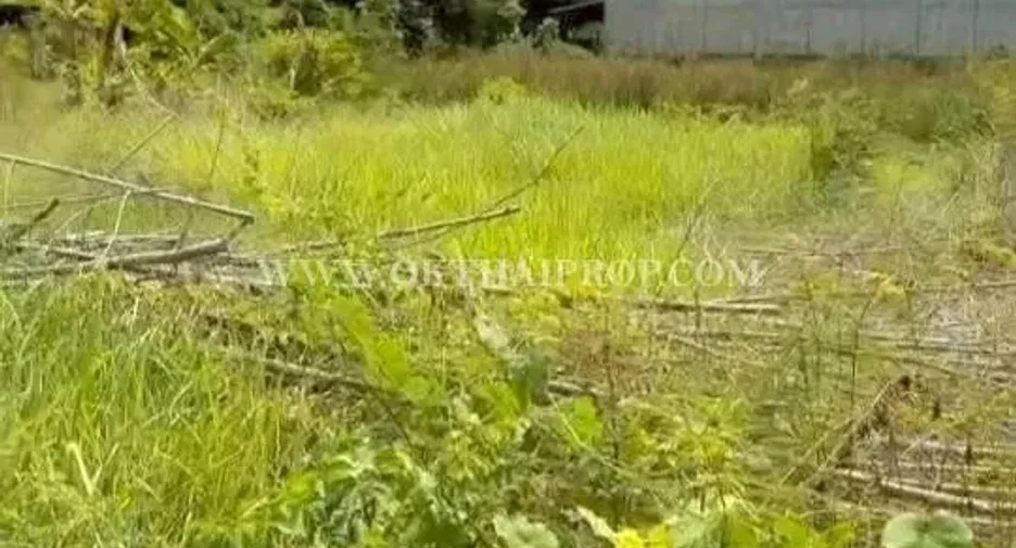 Продажа Участок в Wang Thong, Пхитсанулок