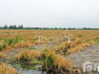 For sale land in Mueang Samut Sakhon, Samut Sakhon