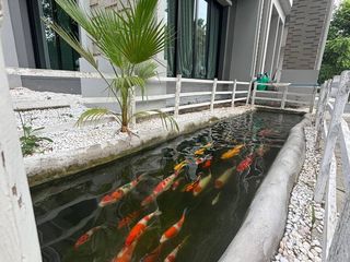 出租 和 出售 5 卧室 独立屋 在 Taling Chan, 曼谷