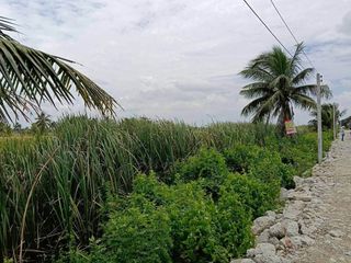 ขาย ที่ดิน ใน ลาดกระบัง, กรุงเทพฯ