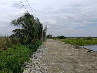 ขาย ที่ดิน ใน ลาดกระบัง, กรุงเทพฯ