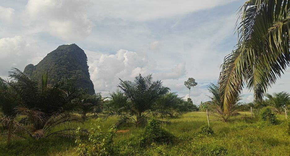 For sale land in Mueang Krabi, Krabi