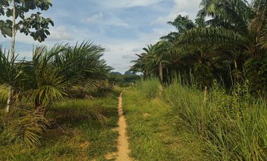 For sale land in Mueang Krabi, Krabi