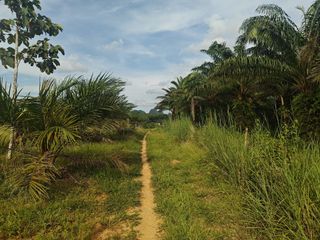 For sale land in Mueang Krabi, Krabi