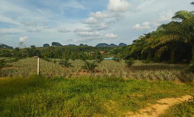 For sale land in Mueang Krabi, Krabi