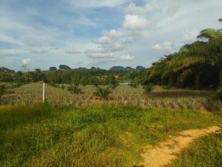 For sale land in Mueang Krabi, Krabi