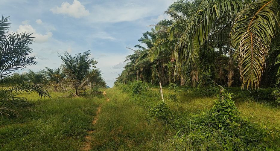 For sale land in Mueang Krabi, Krabi
