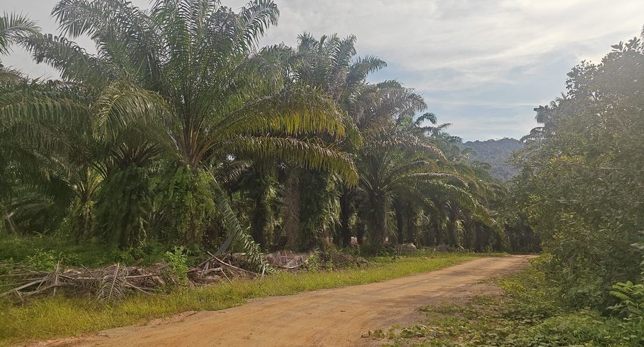 For sale land in Mueang Krabi, Krabi