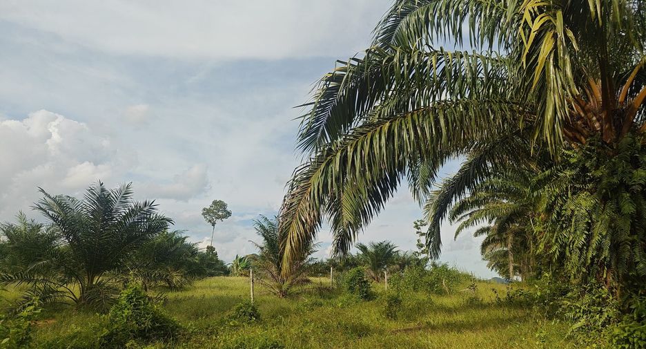 For sale land in Mueang Krabi, Krabi