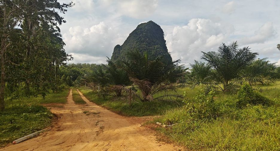 For sale land in Mueang Krabi, Krabi