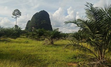 For sale land in Mueang Krabi, Krabi