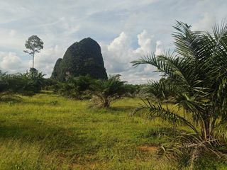 For sale land in Mueang Krabi, Krabi