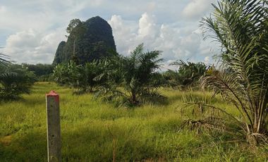 For sale land in Mueang Krabi, Krabi