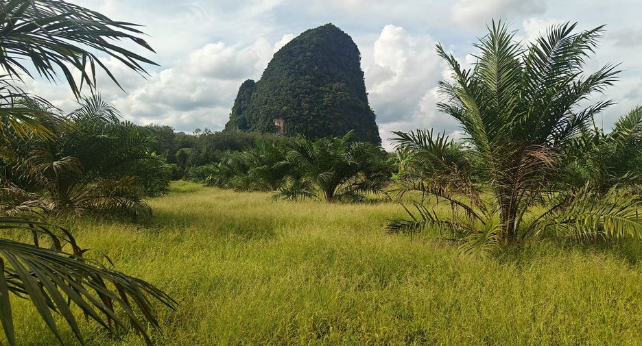 For sale land in Mueang Krabi, Krabi