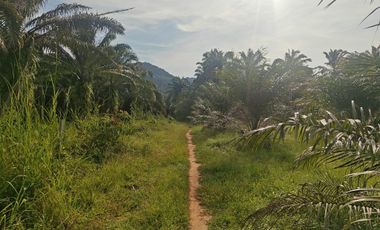 For sale land in Mueang Krabi, Krabi