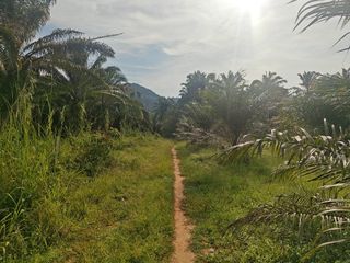 For sale land in Mueang Krabi, Krabi