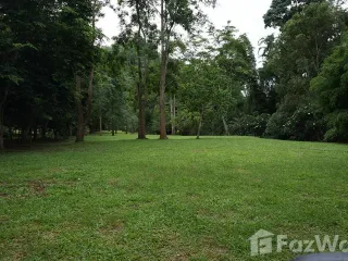 ขาย ที่ดิน ใน หางดง, เชียงใหม่