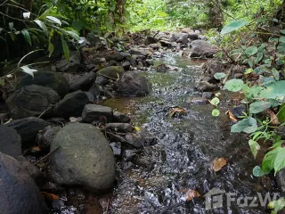 ขาย ที่ดิน ใน หางดง, เชียงใหม่