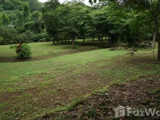 ขาย ที่ดิน ใน หางดง, เชียงใหม่