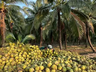 Продажа Участок в Mueang Ratchaburi, Ратбури