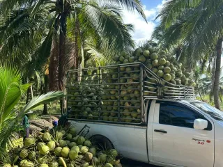 Продажа Участок в Mueang Ratchaburi, Ратбури