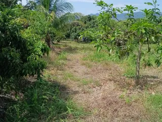For sale land in Ban Hong, Lamphun