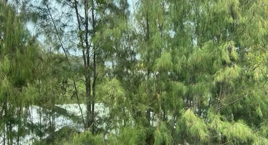 Аренда 1 кровать кондо в Khlong Luang, Патумтани