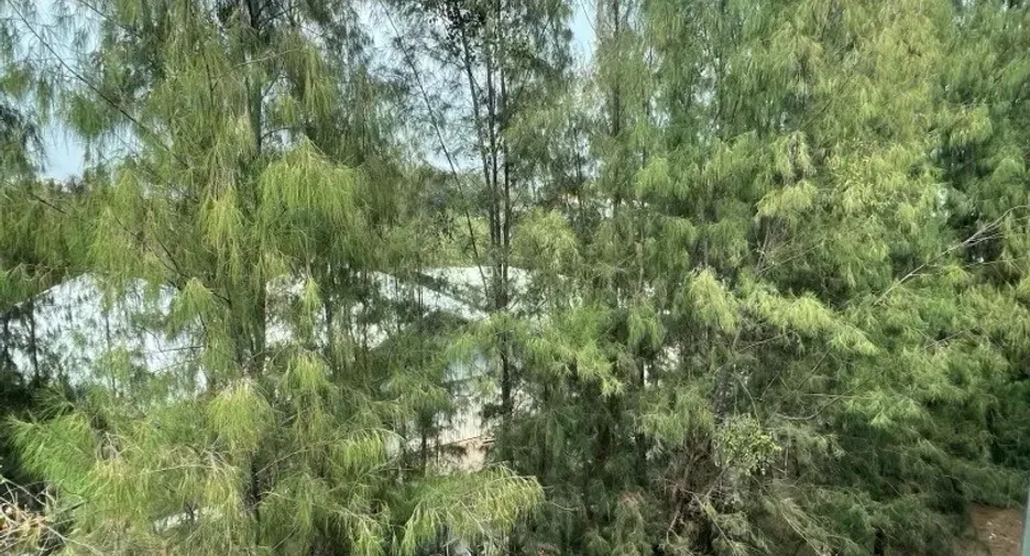 Аренда 1 кровать кондо в Khlong Luang, Патумтани