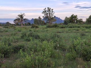 ขาย ที่ดิน ใน ปราณบุรี, ประจวบคีรีขันธ์