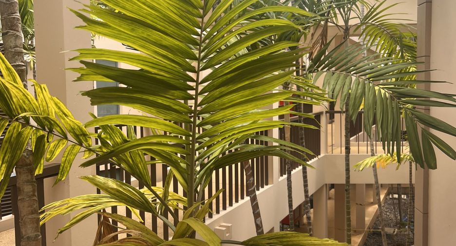 À louer 2 chambres condo à Cha Am, Phetchaburi