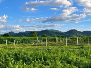 For sale land in Hua Hin, Prachuap Khiri Khan