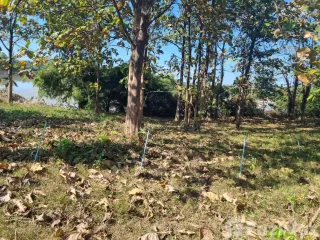 ขาย ที่ดิน ใน สิรินธร, อุบลราชธานี