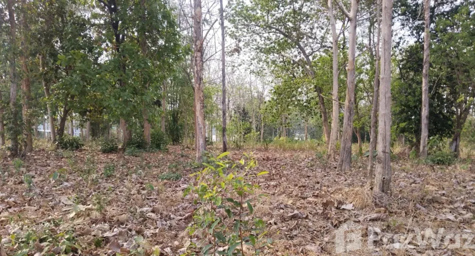 ขาย ที่ดิน ใน สิรินธร, อุบลราชธานี