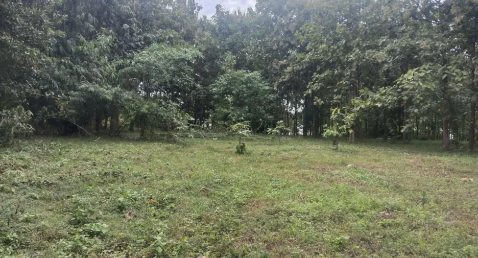 ขาย ที่ดิน ใน สิรินธร, อุบลราชธานี