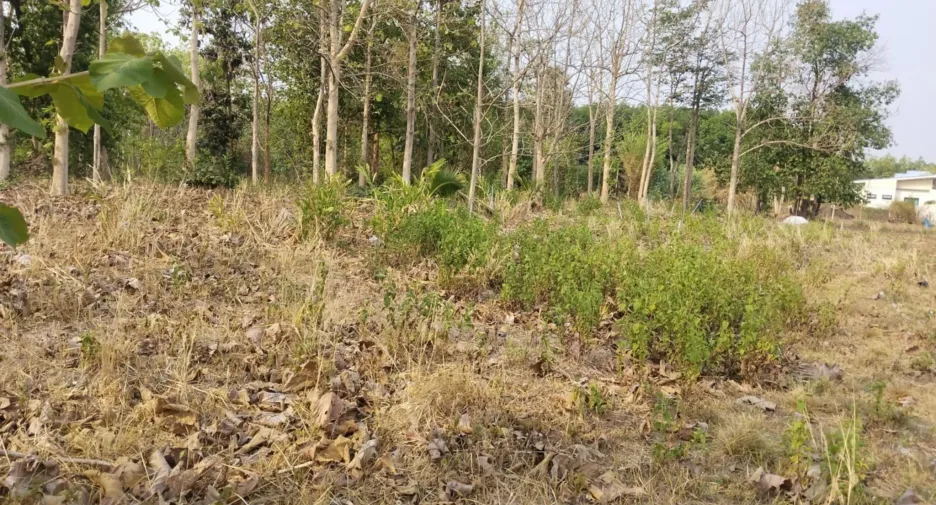 ขาย ที่ดิน ใน สิรินธร, อุบลราชธานี
