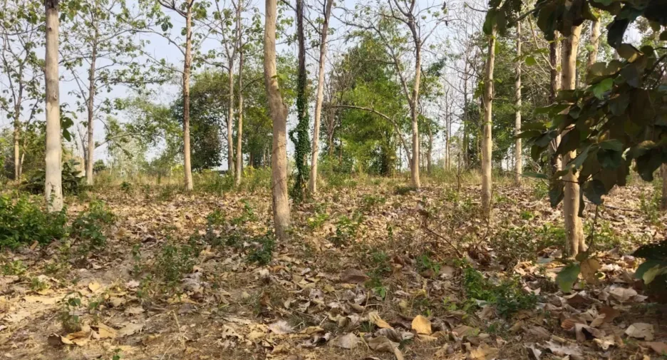 ขาย ที่ดิน ใน สิรินธร, อุบลราชธานี
