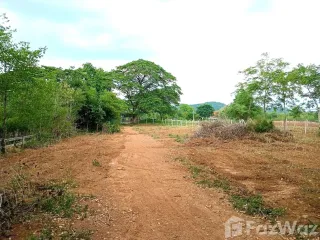 Продажа Участок в Muak Lek, Saraburi