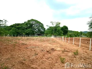 Продажа Участок в Muak Lek, Saraburi