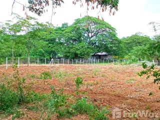 Продажа Участок в Muak Lek, Saraburi