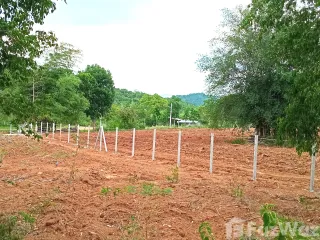 Продажа Участок в Muak Lek, Saraburi