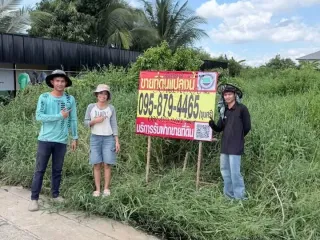 ขาย ที่ดิน ใน บางใหญ่, นนทบุรี