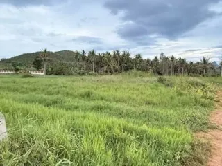 ขาย ที่ดิน ใน สามร้อยยอด, ประจวบคีรีขันธ์