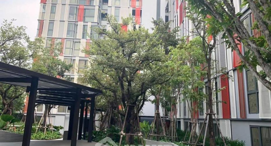 For rent 1 Beds condo in Watthana, Bangkok