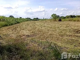 出售 土地 在 华欣, 班武里府