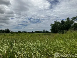 出售 土地 在 华欣, 班武里府