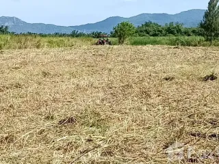 出售 土地 在 华欣, 班武里府