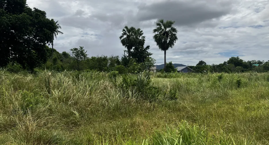 出售 土地 在 华欣, 班武里府