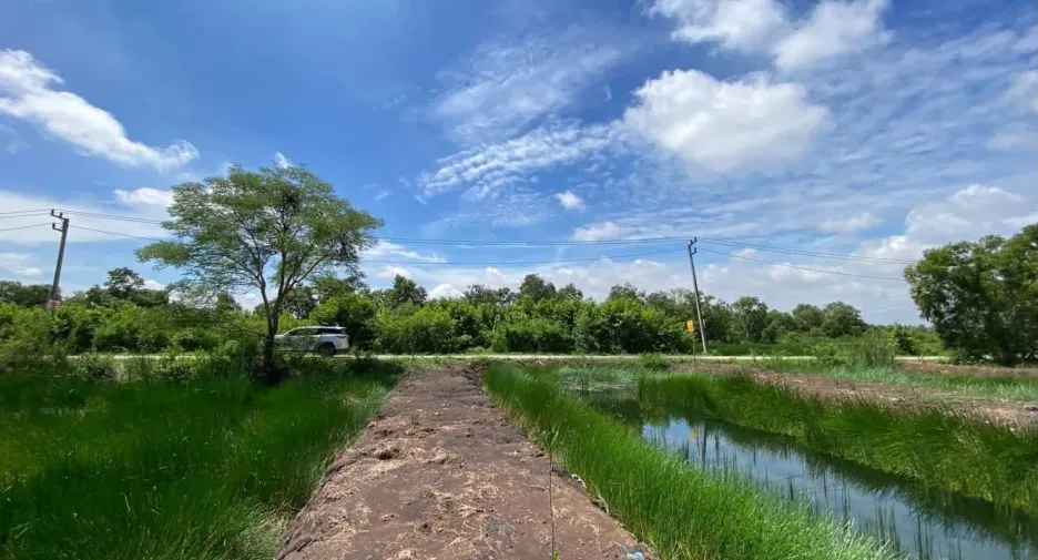 Продажа Участок в Khlong Luang, Патумтани