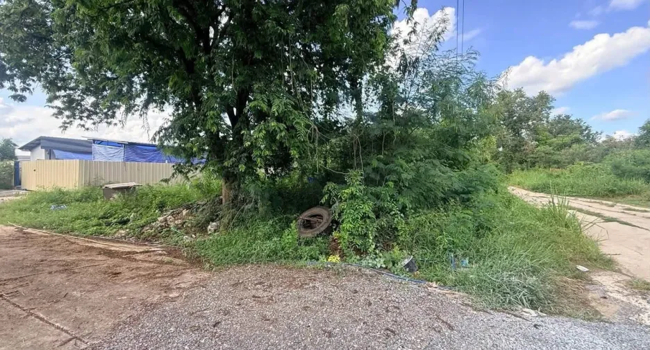 Terreno en venta en Sai Noi, Nonthaburi