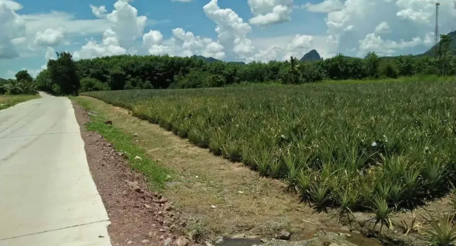 ขาย ที่ดิน ใน หัวหิน, ประจวบคีรีขันธ์